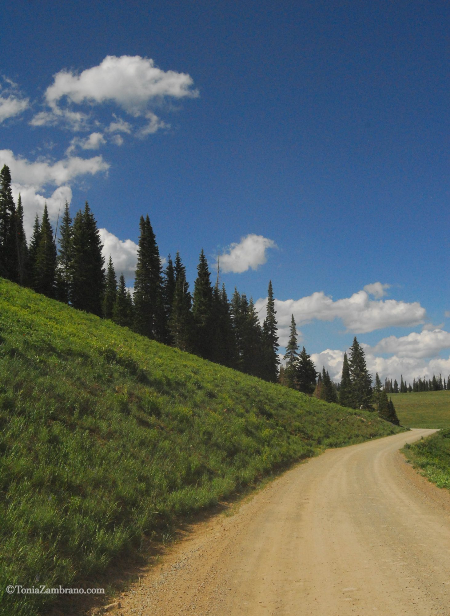 Road to Aspen, Colorado, 2010