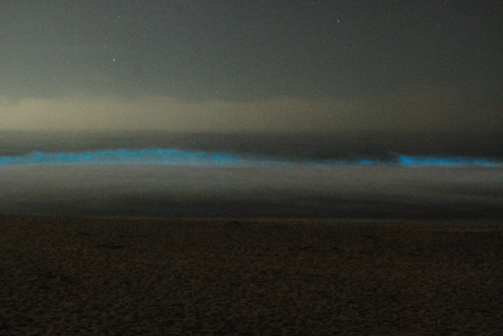 Phosphorescence Half Moon Bay, CA
