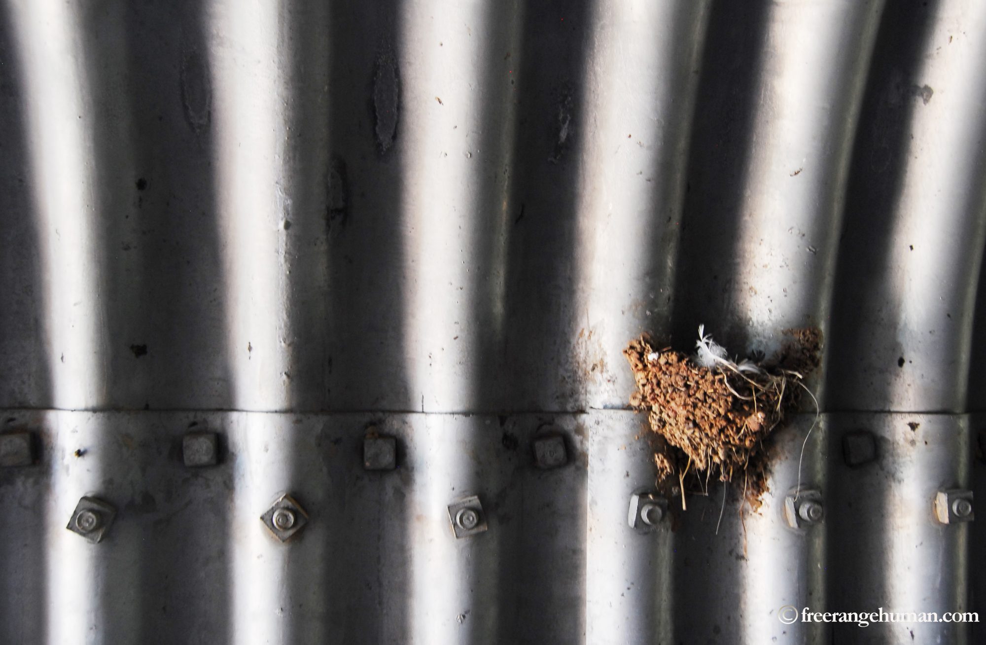 Corrugated Nest